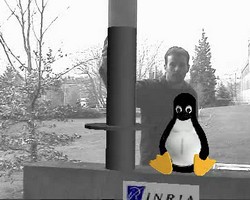 outdoor tux